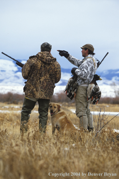 Waterfowl hunters with yellow Lab and bagged ducks. 