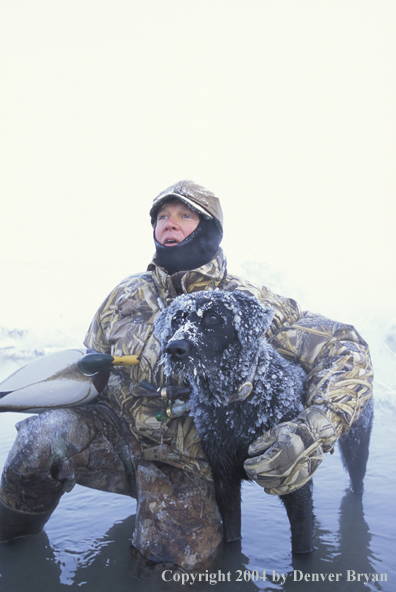 Waterfowl hunter with black Lab setting decoys. 