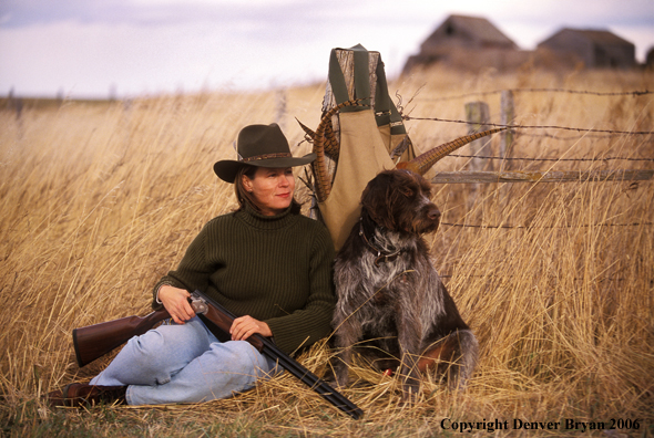 Woman upland game bird hunter and German Wirehair Pointer with bagged pheasants.  