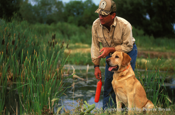 Trainer with yellow Labrador Retriever