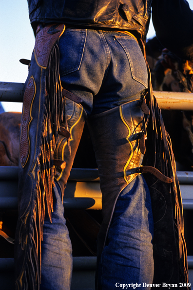 Cowboy at rodeo