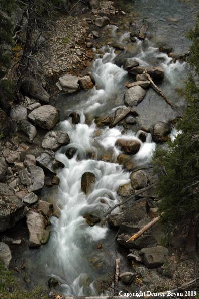 River scenic of the Clark Fork