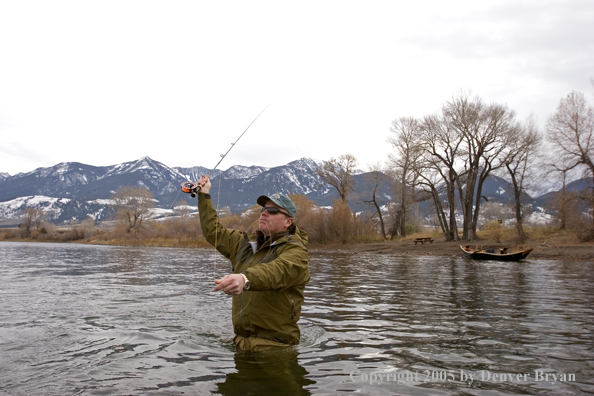 Flyfisherman casting heavy streamers on Yellowstone River, Montana.