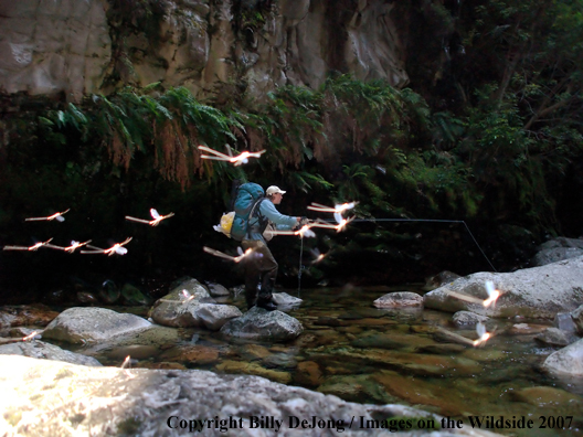 Flyfisherman in mayflies