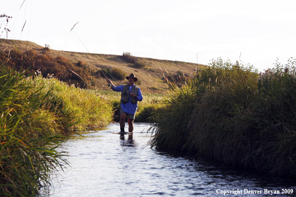 Flyfisherman casting in small stream