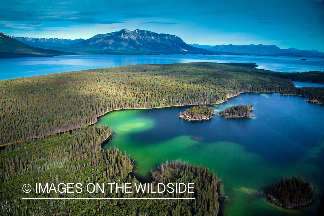 Aerial view of Nakina River, British Columbia.