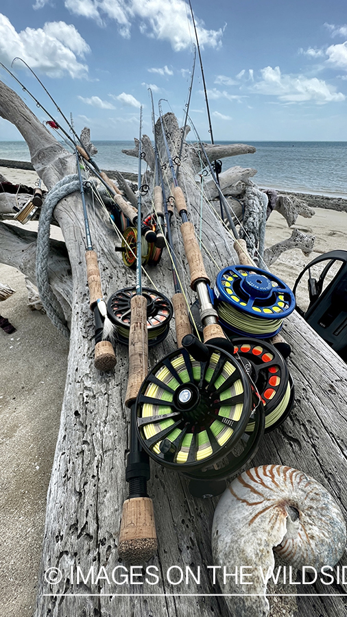 Flyrods on beach.