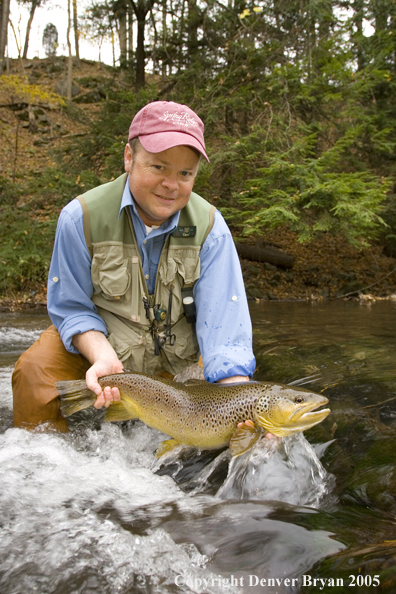 Close-up of nice brown trout.