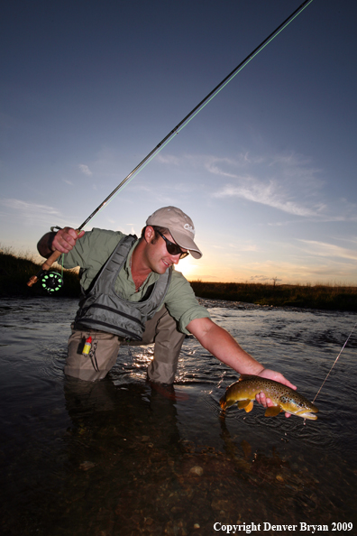 Flyfisherman landing Brown Trout