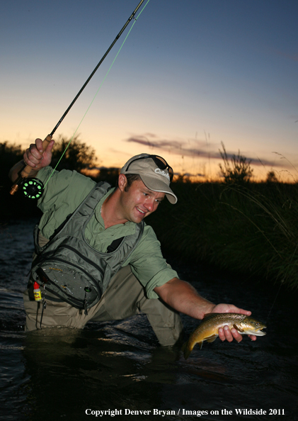 Flyfisherman releasing Brown Trout