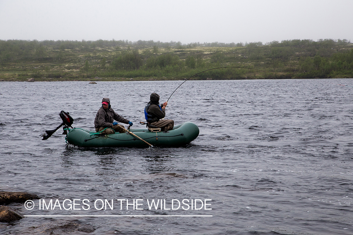 Flyfishing for Atlantic salmon on the Yokanga River in Russia.