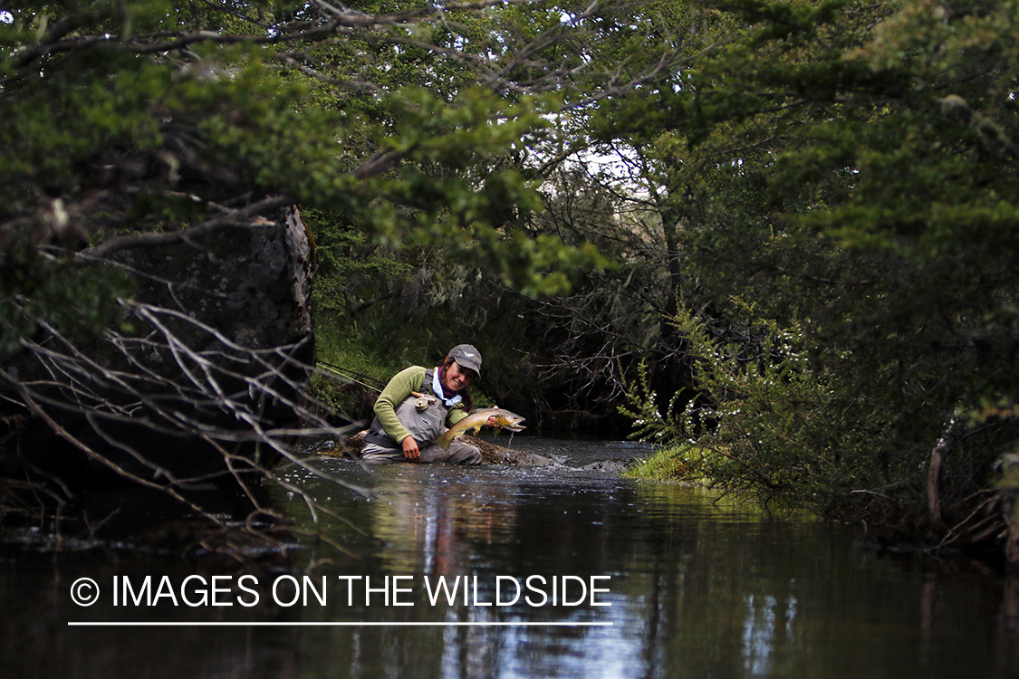 Flyfishing woman releasing brown trout.