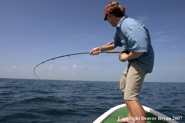 Flyfisherman with fighting/jumping tarpon on the line