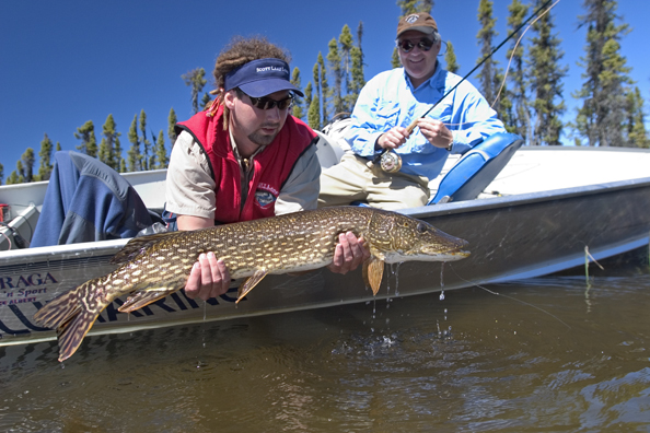 Flyfisherman and guide with northern pike (MR)