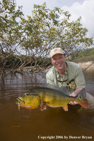 Fisherman holding Peacock Bass