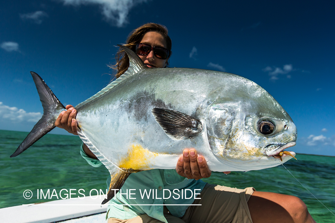 Flyfishing woman with permit.