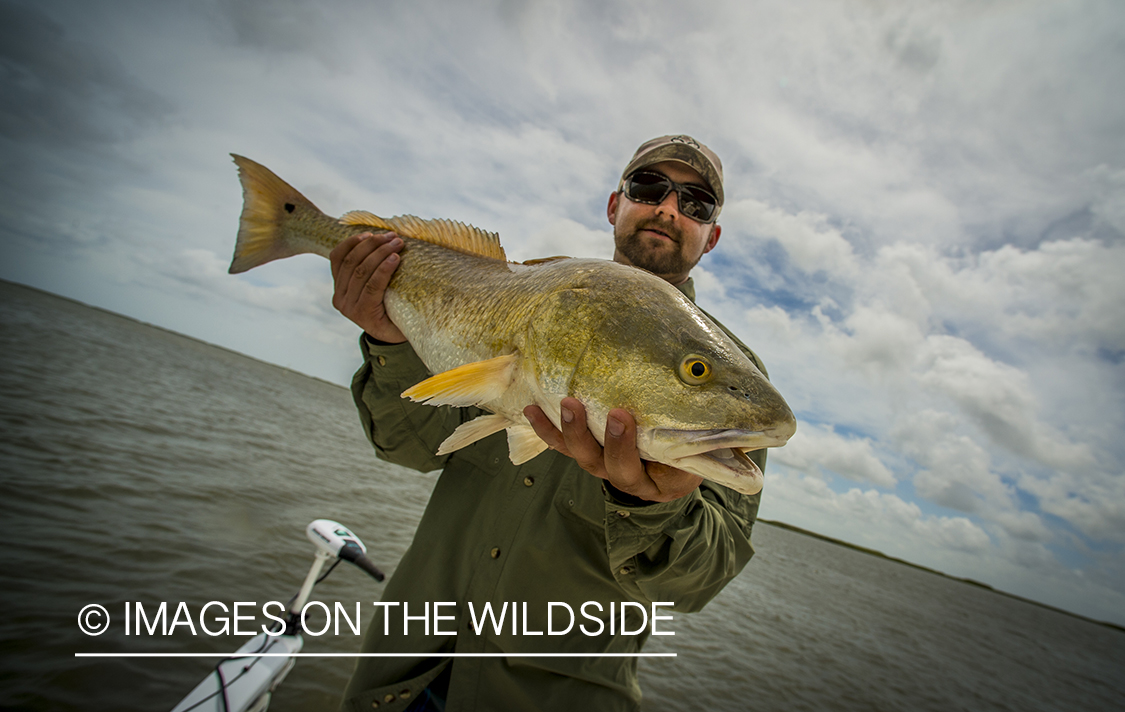 Fisherman with redfish.