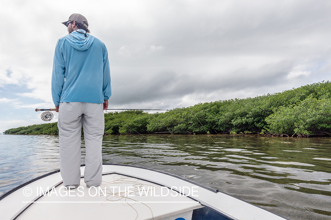 Saltwater flyfishing in Belize.