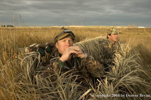 Hunter calling ducks from blind.