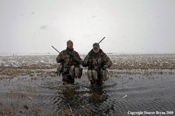 Waterfowl hunters with killed mallard ducks.