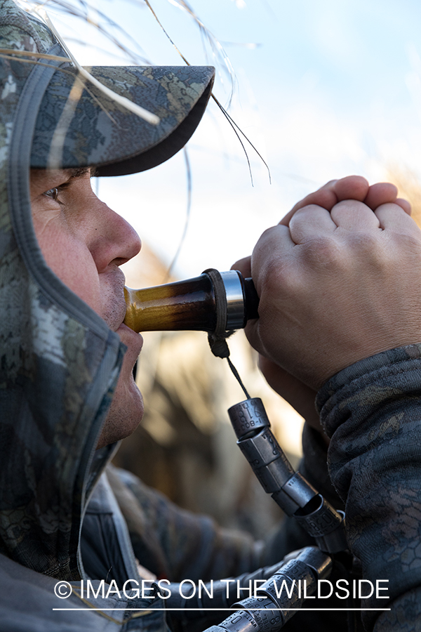 Waterfowl hunting