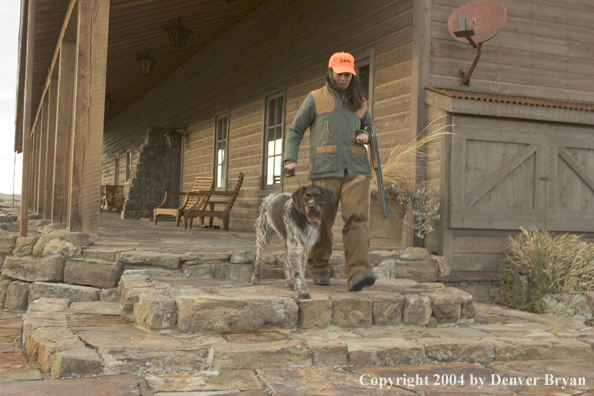 Woman upland game hunter walking with German wirehair pointer.