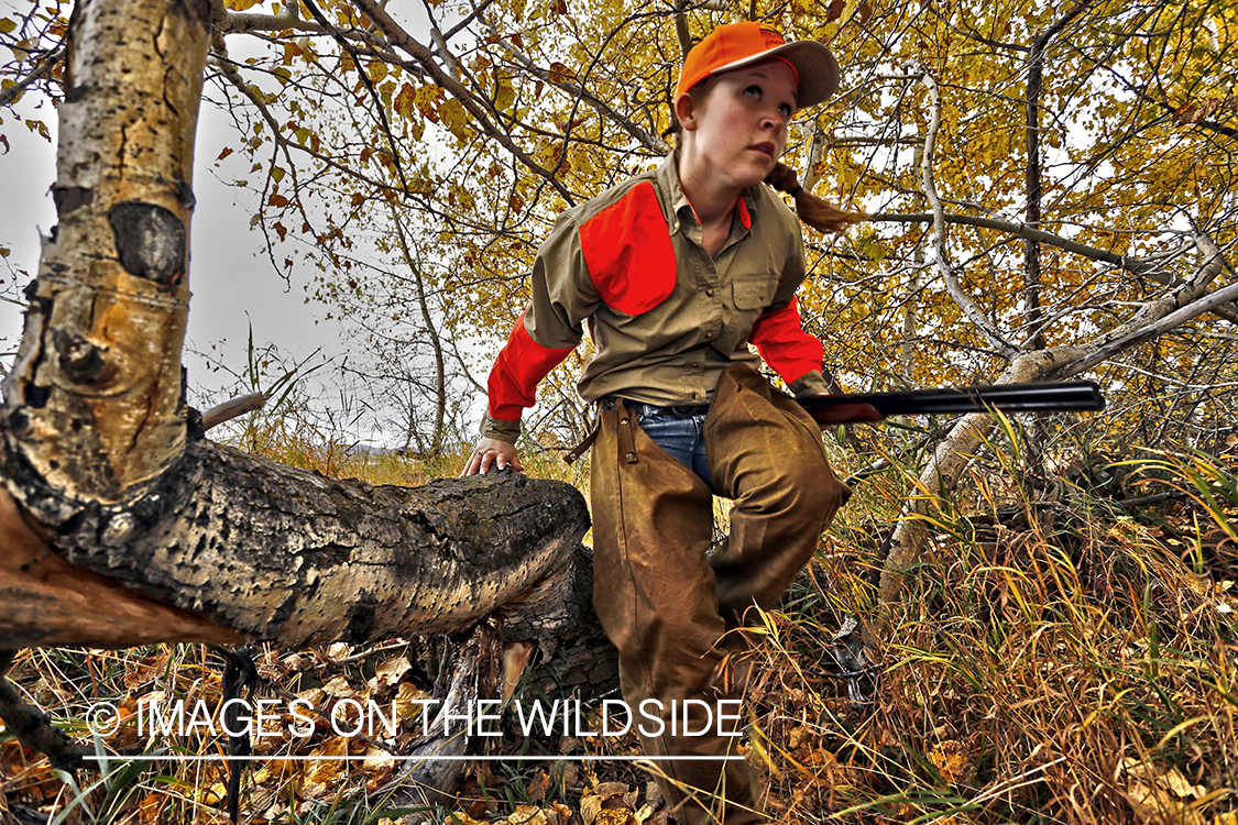 Woman hunting pheasant stepping over log.