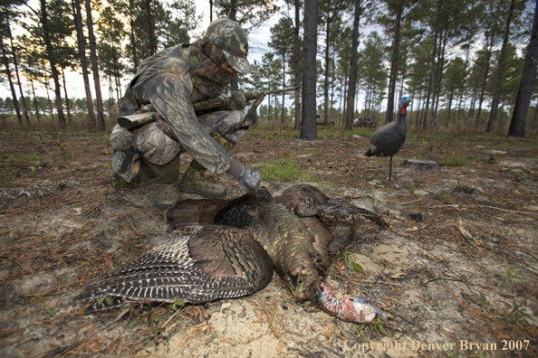 Turkey hunter in field with bagged bird