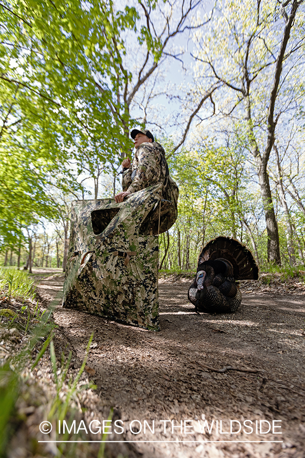 Turkey hunter carrying blind.