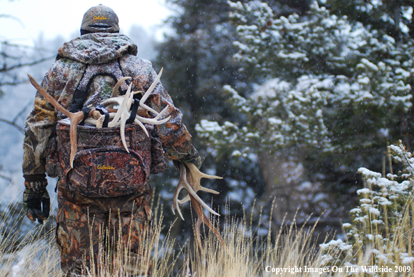 Hunter Collecting Antlers