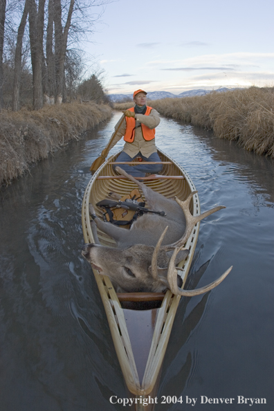 Woman big game hunter paddling canoe with bagged white-tailed deer in bow.