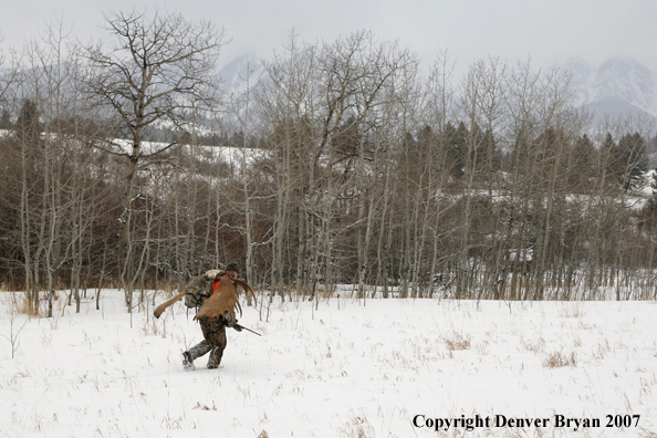 Moose hunter in field