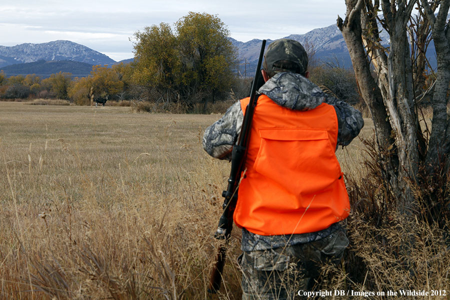 Hunter tracking moose.