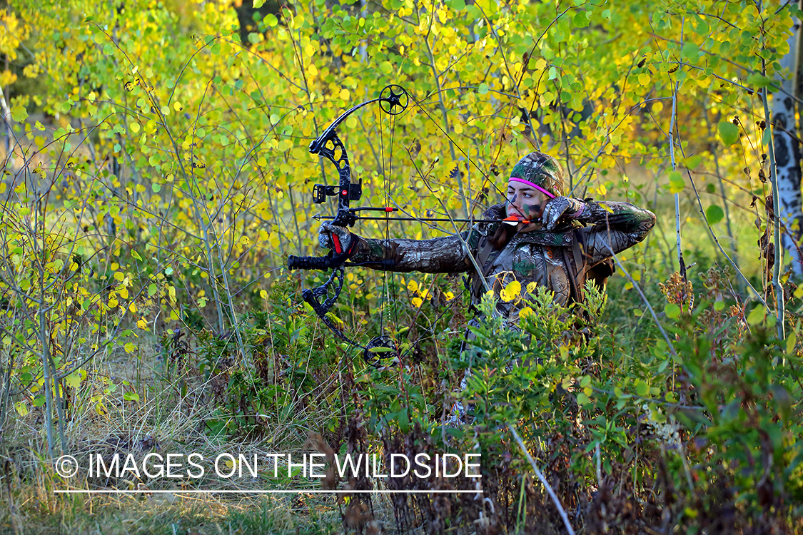 Woman bow hunting elk.