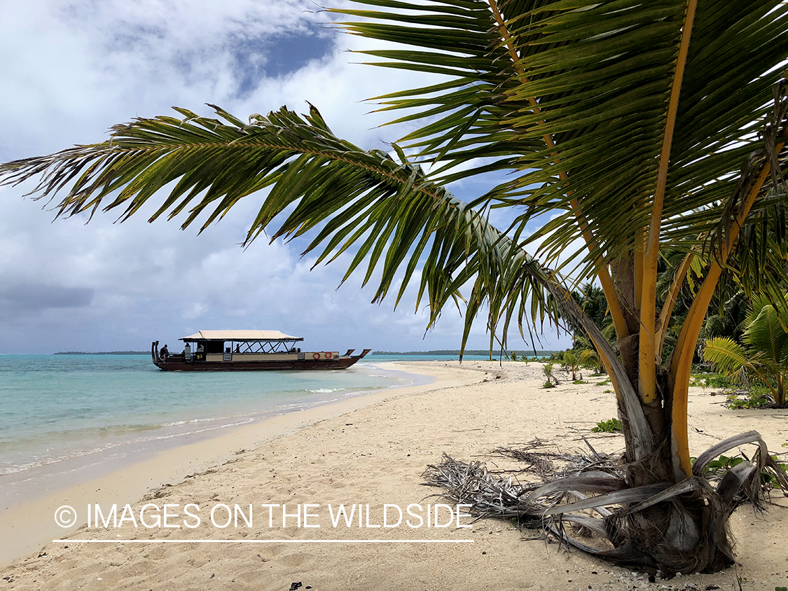 Beach on Aitutaki Island.