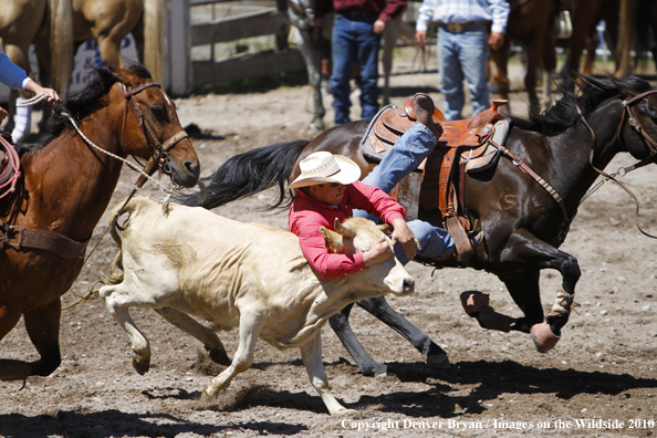 Augusta Rodeo