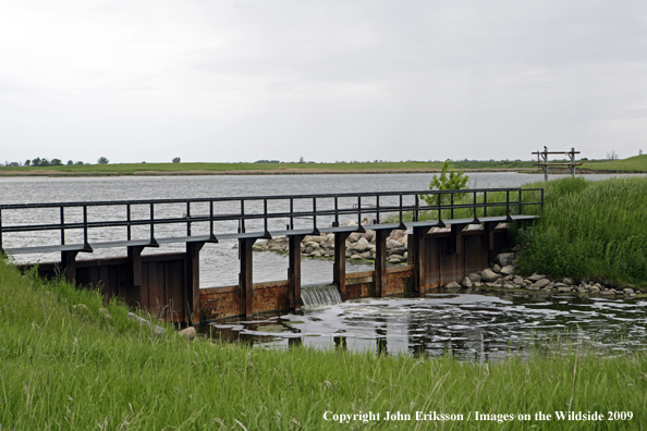 Observation bridge at National Wildlife Refuge wetlands