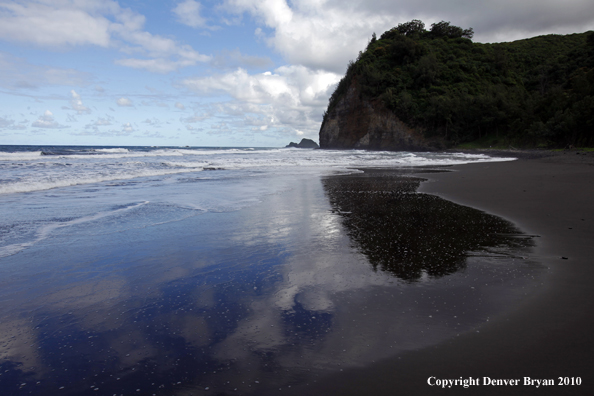 Beach on The Big Island, Hawaii.