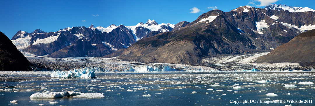 Alaskan landscape