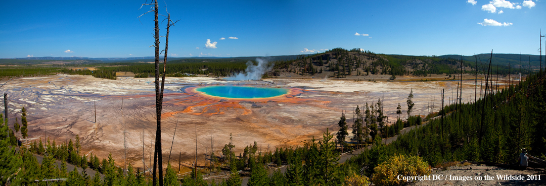 Yellowstone National Park 