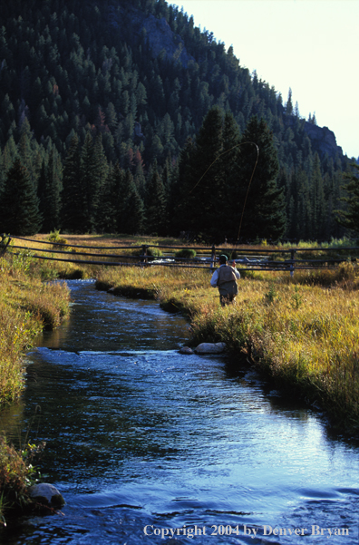 Flyfisherman fishing in river.