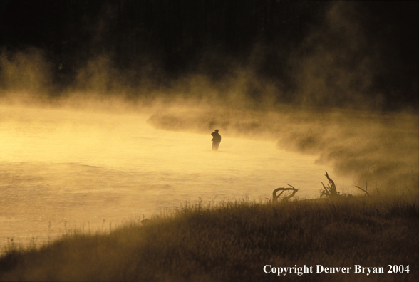 Flyfisherman at sunrise/sunset.