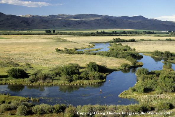 Flyfishing on Silver Creek in Idaho