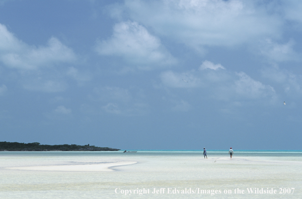 Anglers search remote flat in Bahamas for bonefish