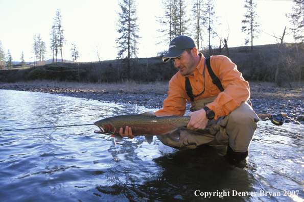 Flyfisherman releasing steelhead.