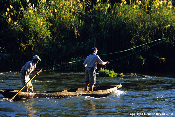 Flyfisherman fishing for Tigerfish