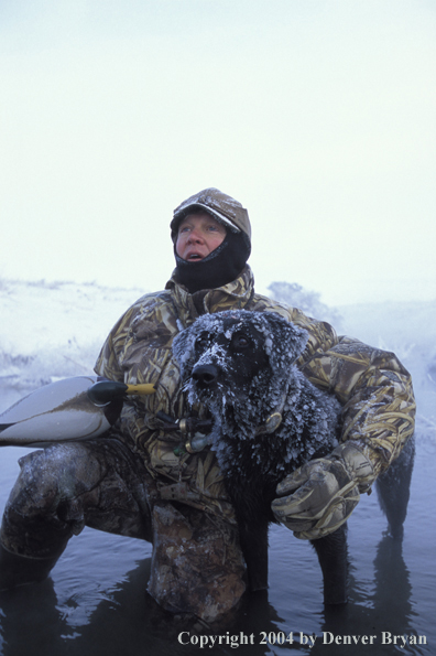 Waterfowl hunter with black Lab setting decoys. 