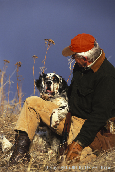 Upland bird hunter with English Setter.