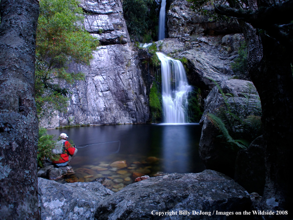 Flyfisherman at waterfall                               