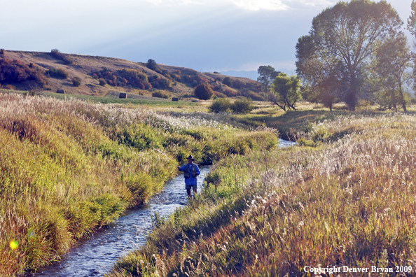 Flyfisherman casting on small stream